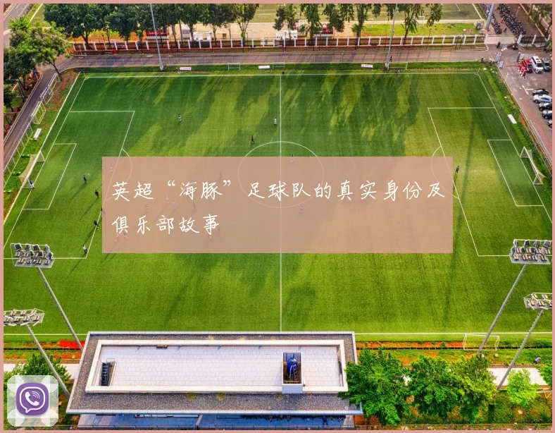 英超“海豚”足球队的真实身份及俱乐部故事